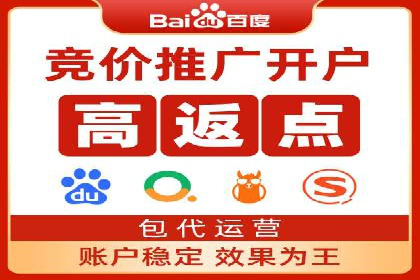 百度推广代运营案例：行业领先企业的成功之道